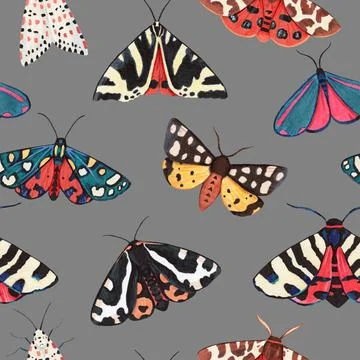 Seamless pattern with garden tiger moths, Arctiidae family. Watercolor Illustrazione stock