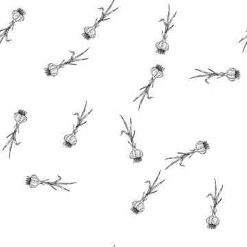 Seamless pattern garlic bulb green stalk sketch hand drawn Stock Illustration
