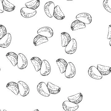 Seamless pattern garlic cloves peeled sketch hand drawn Stock Illustration