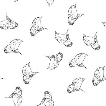 Seamless pattern garlic cloves unpeeled sketch hand drawn Stock Illustration