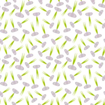 Seamless pattern garlic head with green leaves, isolated on white background  Stock Illustration