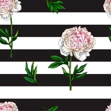 Seamless pattern with gently pink peony flower isolated on black and white st Stock Illustration