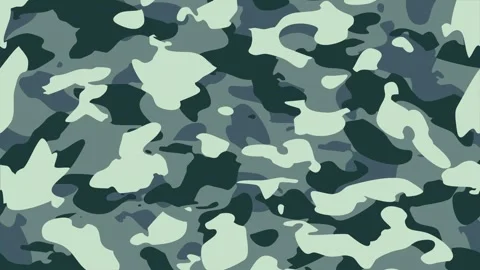Seamless pattern with geometric camouflage transition Stock Footage 276568968