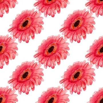 Seamless pattern with gerbera flower Stock Illustration