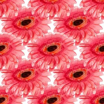 Seamless pattern with gerbera flower Stock Illustration