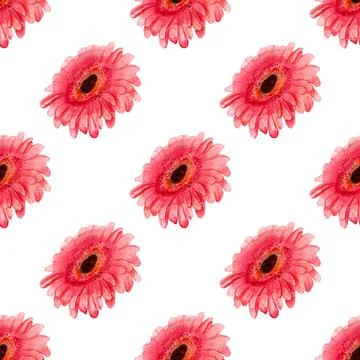 Seamless pattern with gerbera flower Stock Illustration