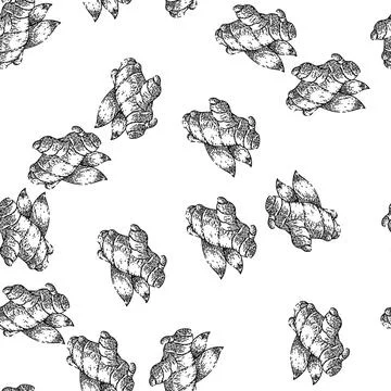 Seamless pattern ginger food sketch hand drawn illustration 库存插图