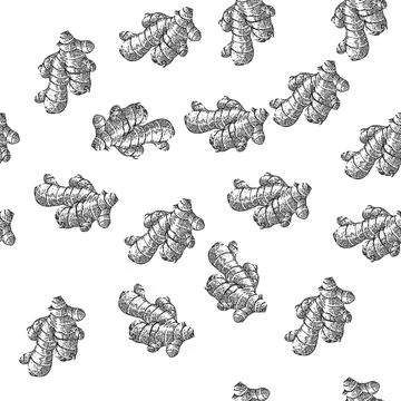 Seamless pattern ginger root sketch hand drawn illustration Stock Illustration