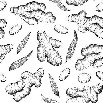 Seamless pattern with ginger roots, slices and leaves in engraving style. B.. 库存插图