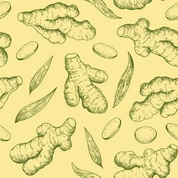 Seamless pattern with ginger roots, slices and leaves in engraving style. B.. Stock Illustration