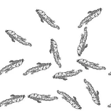 Seamless pattern ginseng root dry sketch hand drawn Stock Illustration