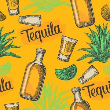 Seamless pattern of glass and botlle tequila, glass, salt, cactus and lime .. Stock-Illustration