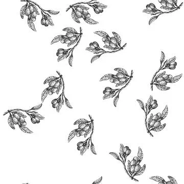 Seamless pattern goji branch sketch hand drawn Stock Illustration