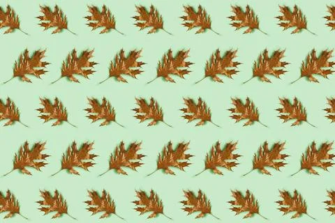 Seamless pattern with golden leaves on light green background. Autumn, fall Stock Illustration