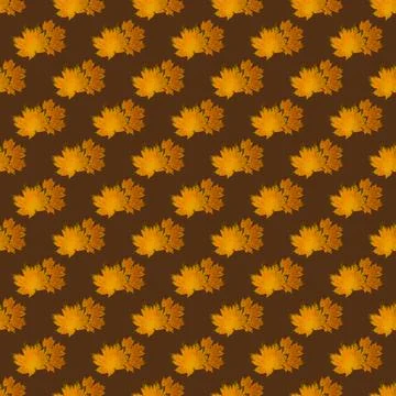 Seamless pattern of golden yellow maple leaves on a brown background. Desig.. Foto stock
