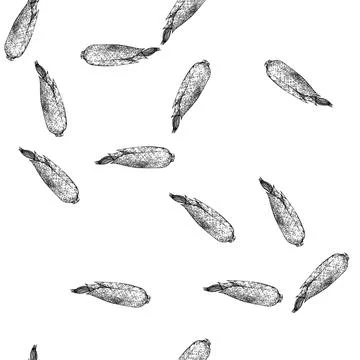 Seamless pattern grain corn sketch hand drawn Stock Illustration