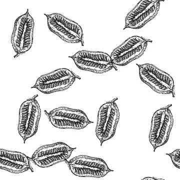 Seamless pattern grain sesame seed sketch hand drawn Stock Illustration