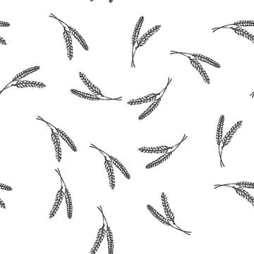 Seamless pattern grain wheat sketch hand drawn Stock Illustration