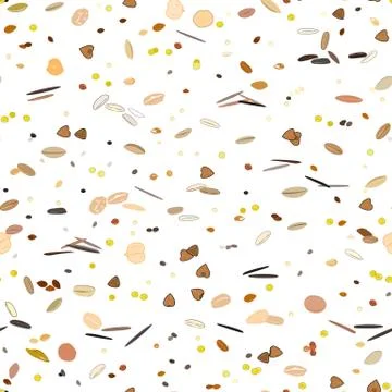 Seamless pattern with grains and cereals. Wheat, barley, oats, rye, buckwheat Stock Illustration