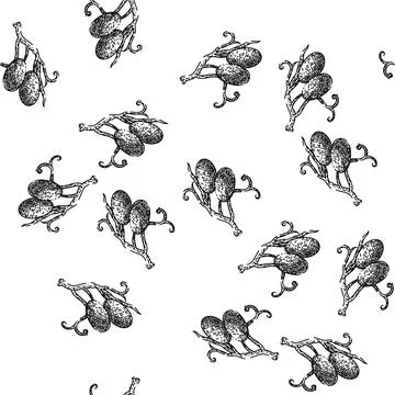 Seamless pattern grape bunch blue food sketch hand drawn 스톡 일러스트