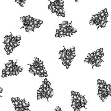 Seamless pattern grape bunch blue sketch hand drawn Illustrazione stock