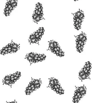 Seamless pattern grape bunch green sketch hand drawn Stock Illustration