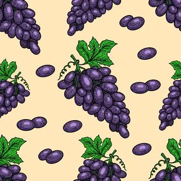 Seamless pattern with grape. Design element for poster, card, banner, t shirt Stock Illustration