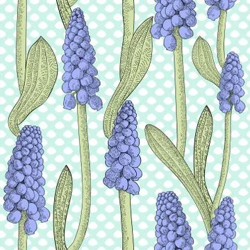 Seamless pattern with grape hyacinth, or muskari, on dotted background Illustrazione stock