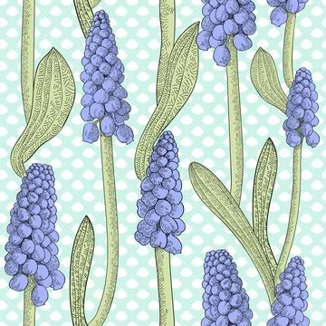 Seamless pattern with grape hyacinth, or muskari, on dotted background Sea... Stock Photos