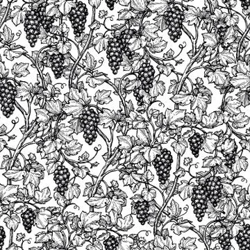 Seamless pattern with grape vine. Illustrazione stock
