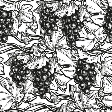 Seamless pattern with grape vine. Stock Illustration