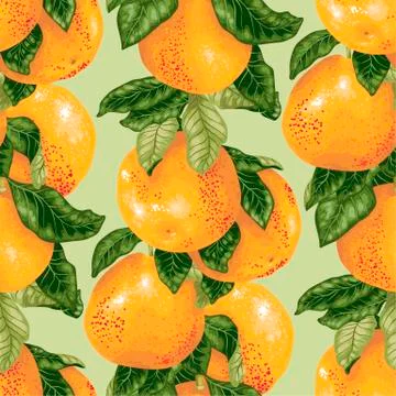 Seamless pattern with grapefruit branch in vector Stock Illustration
