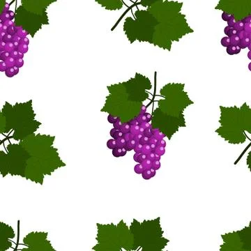 Seamless pattern with Grapes and leaves. Flat Design Vector Illustration Stock Illustration