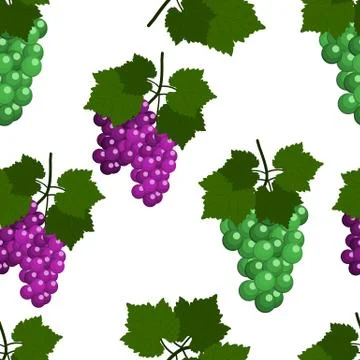 Seamless pattern with Grapes and leaves. Flat Design Vector Illustration Stock Illustration