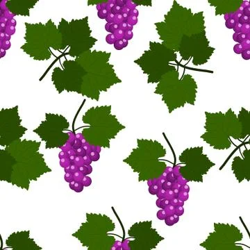 Seamless pattern with Grapes and leaves. Flat Design Vector Illustration Stock Illustration