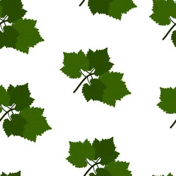 Seamless pattern with Grapes and leaves. Flat Design Vector Illustration Stock Illustration