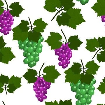 Seamless pattern with Grapes and leaves. Flat Design Vector Illustration Stock Illustration