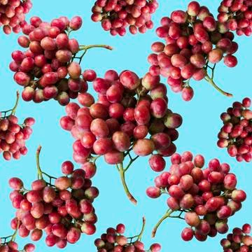 Seamless pattern grapes bunch, on blue background. Stock Photos