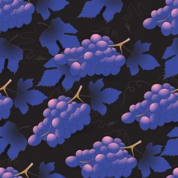 Seamless pattern of grapes on dark blue Illustration