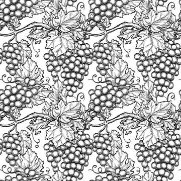 Seamless pattern with grapes. Stock Illustration