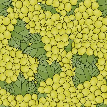 Seamless pattern with grapes. Stock Illustration