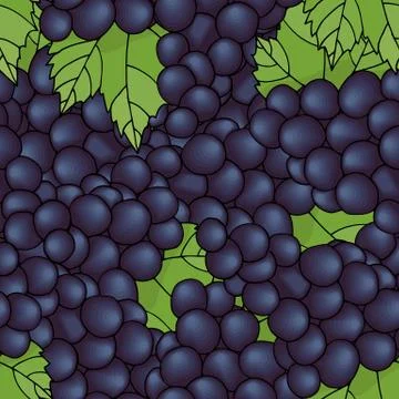Seamless pattern with grapes. Stock Illustration