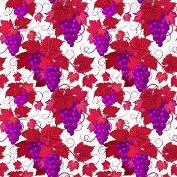 Seamless pattern with grapes. Violet grape with red leaves on white background Illustrazione stock