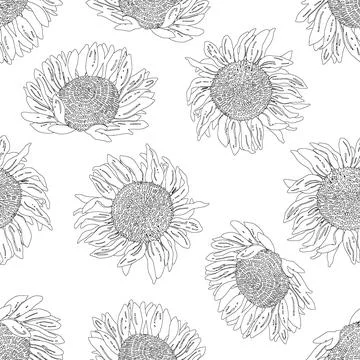 Seamless pattern with graphic hand-drawn sunflowers. Vector black and white m Illustrazione stock
