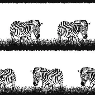 Seamless pattern of graphical sketch Zebra stands in the grass isolated on wh Stock Illustration