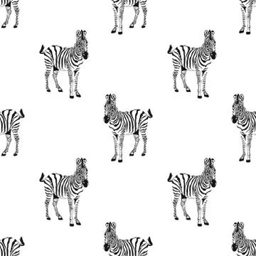 Seamless pattern of graphical sketch zebra isolated on white background, vect Stock Illustration