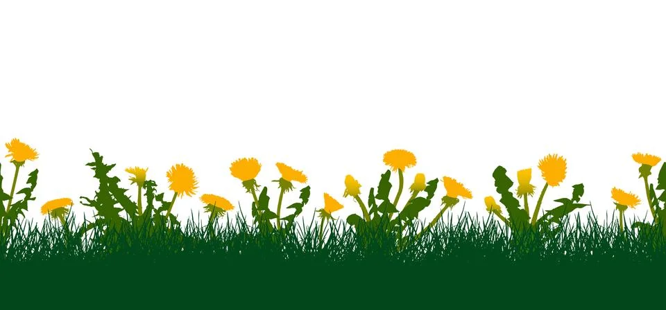 Seamless pattern of grassland from grass and yellow dandelions. Vector illust Stock Illustration