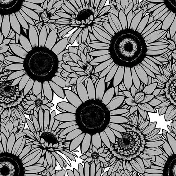 Seamless pattern of gray daisies with a black outline on a white background.. Illustrazione stock