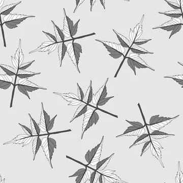 Seamless pattern of a gray maple leaves isolated on a gray background 스톡 일러스트