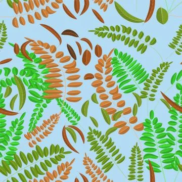 Seamless pattern with green and brown acacia leaves on light blue background. Stock-Illustration
